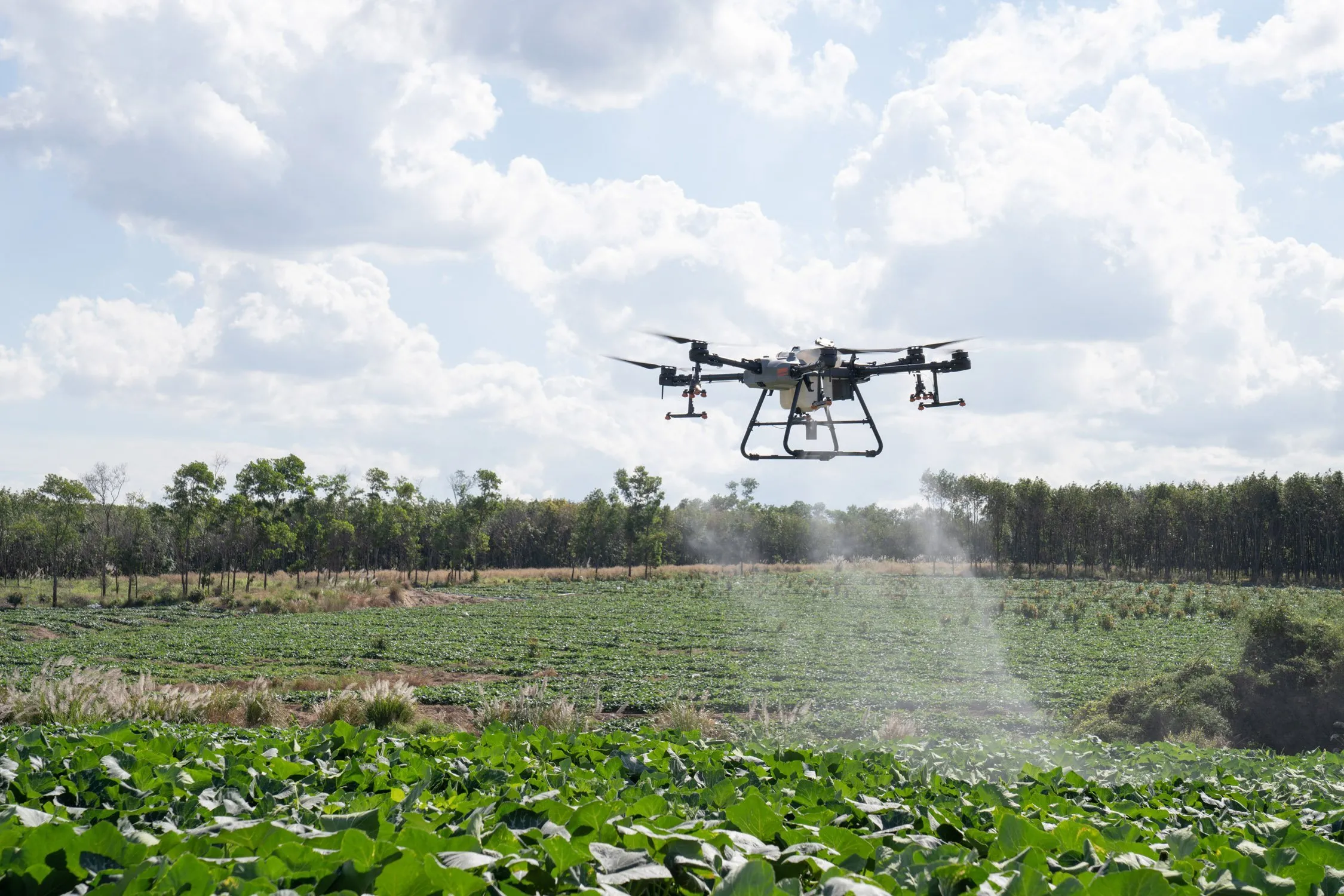 Image representing Drone Crop Spraying